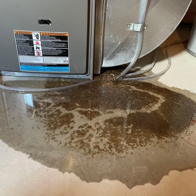 Appliance Leak Cleanup in Grasonville, MD